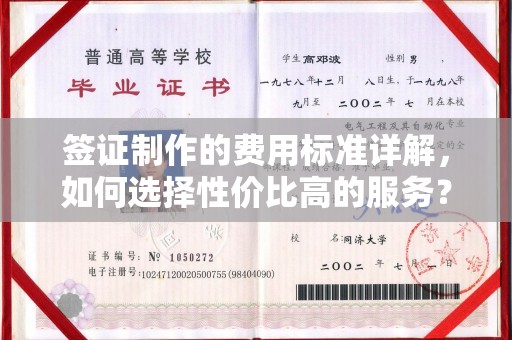 蓬安签证制作的费用标准详解，如何选择性价比高的服务？