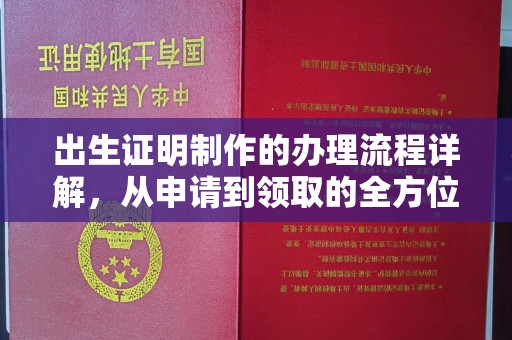 蓬安出生证明制作的办理流程详解，从申请到领取的全方位指南